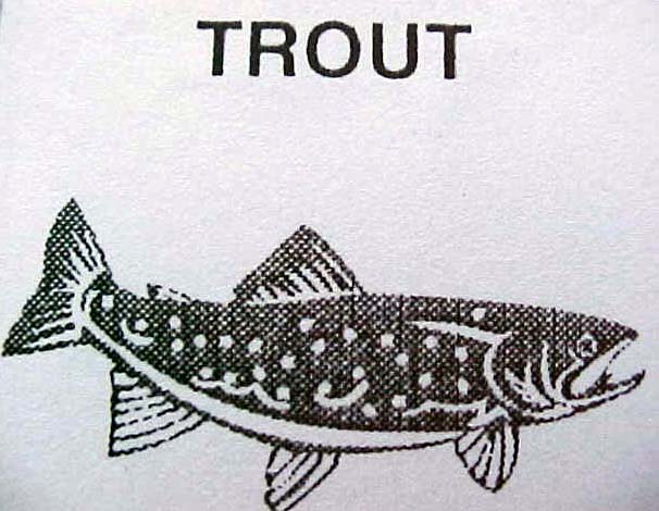 Image "releases:2002_2_trout_symbol.jpg"